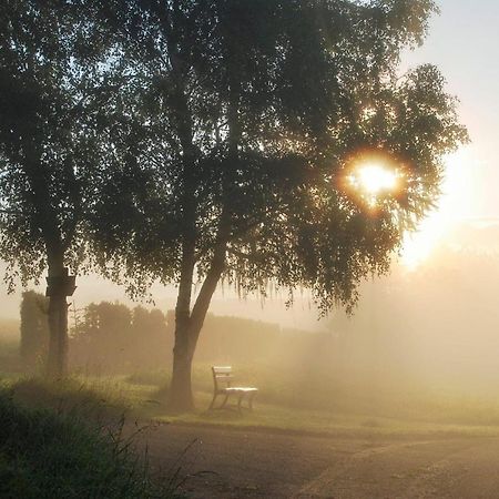 Schinderhanneshof Weitersborn Bagian luar foto